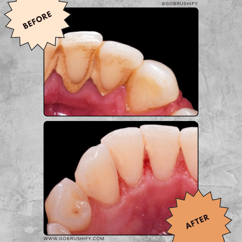 review 2.png__PID:dcd3640f-1792-4d28-a72b-d71df9a92d27